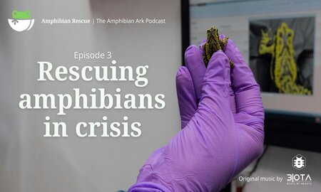 Episode 3: Rescuing Amphibians in Crisis. 