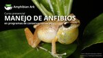 Curso de Manejo de Anfibios en República Dominicana