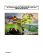 Plan-de-Accion-para-Pleurodema-somuncurense.pdf