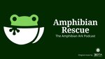 Amphibian Rescue—the Amphibian Ark podcast is here!