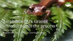 AArk Grants Webinar: recording now available
