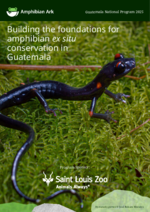 Guatemala_National_Program_AArk_2025ImpactReport.pdf
