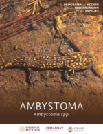 PACE-Ambystoma2018.pdf