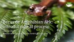 Webinar sobre las becas AArk: la grabación ya está disponible