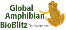 Global Amphibian Bioblitz