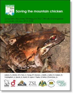 Mountain Chicken Recovery Plan - Gestión de especies