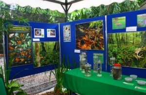 An informative booth that was decorated to mimic the natural forest environment and filled with live and preserved frog specimens was set up at Zoo Negara for Leap Day. 