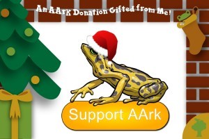 Support AArk - 12 Amphibians of Christmas