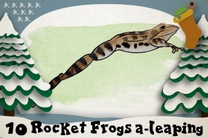 10 Rocket Frogs a-leaping