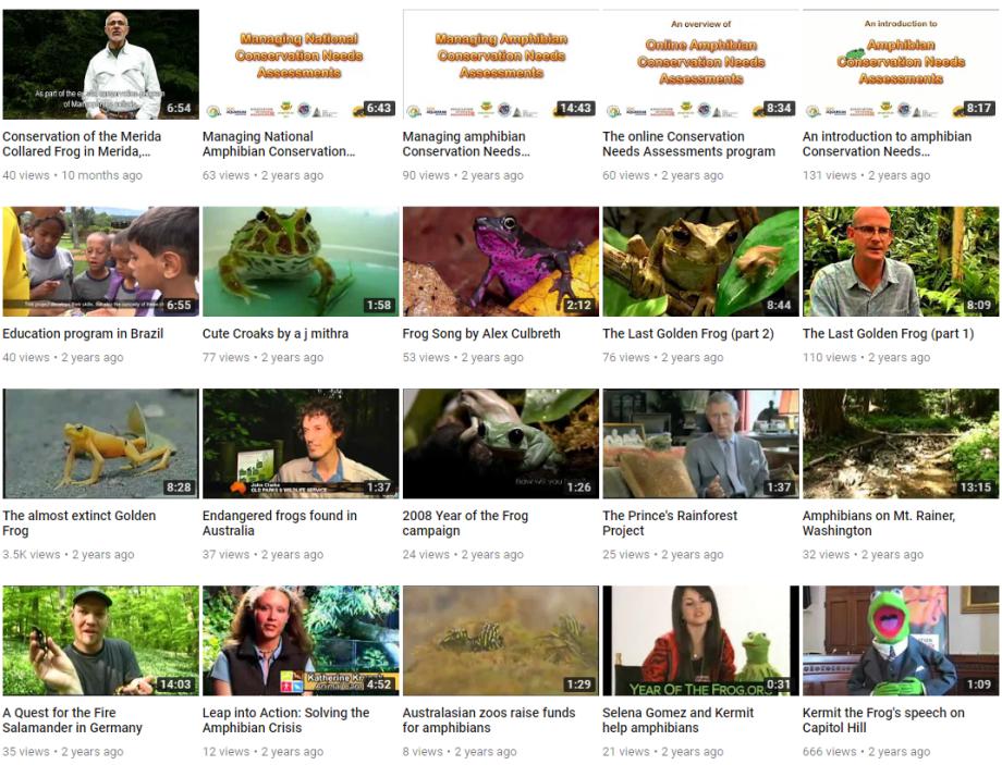 YouTube video gallery - Vídeos de anfibios