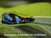 Amphibian nutrition and feeding webinars